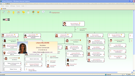 Organigramme